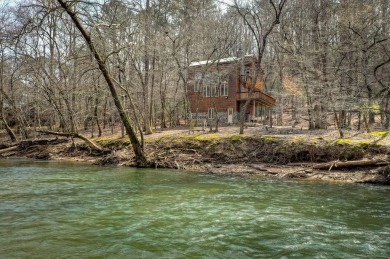 Lake Home For Sale in Ellijay, Georgia