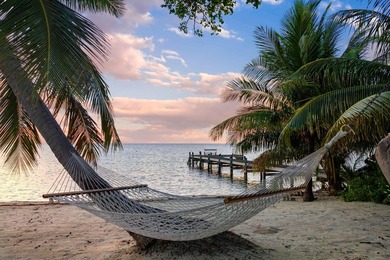 Iconic Islamorada Oceanfront Retreat. Welcome to The Last Resort - photo 4