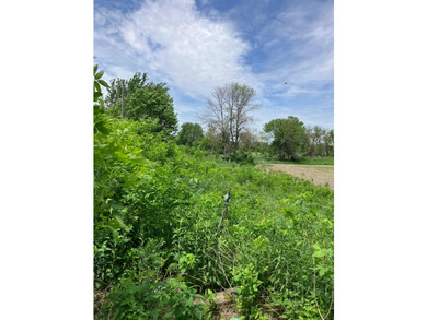 Great location location location, Can be a small business or - photo 11
