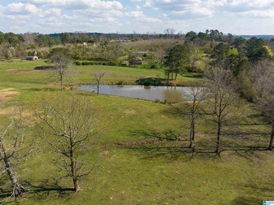 Looking for the perfect family home, weekend getaway, or - photo 17