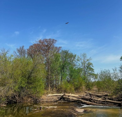 1,962 Acres on the Black River | A Once-in-a-Generation Arkansas - photo 17