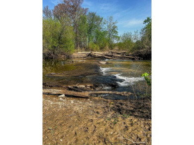 1,962 Acres on the Black River | A Once-in-a-Generation Arkansas - photo 18