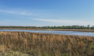 1,962 Acres on the Black River | A Once-in-a-Generation Arkansas - photo 19