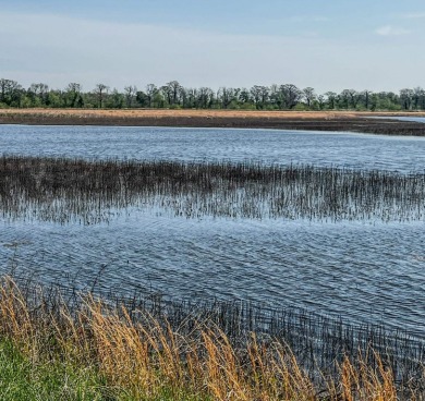 1,962 Acres on the Black River | A Once-in-a-Generation Arkansas - photo 20