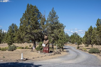 Don't miss this rare opportunity to own two buildable lots in - photo 30