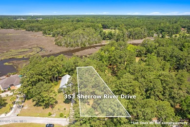 (private lake, pond, coastal) Lot For Sale in Shallotte North Carolina