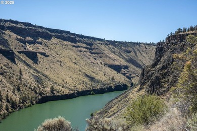 Don't miss this rare opportunity to own two buildable lots in - photo 32