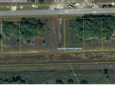 (private lake, pond, coastal) Lot For Sale in Labelle Florida