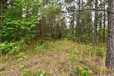 20 acres of prime timber land. Situated in Southern Nevada - photo 2