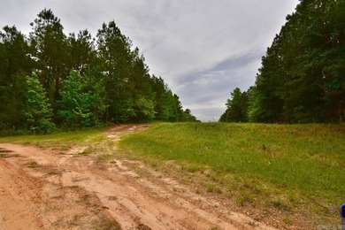 20 acres of prime timber land. Situated in Southern Nevada - photo 3