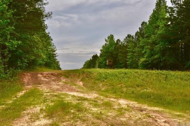 20 acres of prime timber land. Situated in Southern Nevada - photo 4