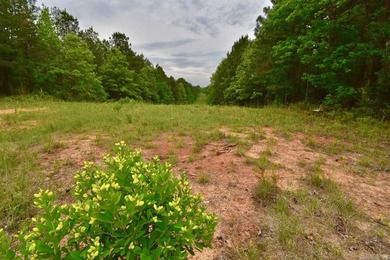 20 acres of prime timber land. Situated in Southern Nevada - photo 6