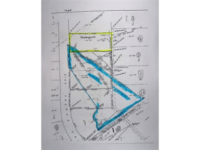 Lake Lot For Sale in Scroggins, Texas