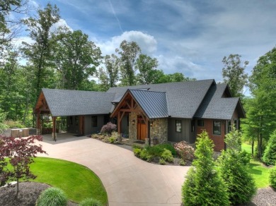 Lake Home For Sale in Mineral Bluff, Georgia