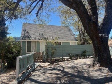 Lake Home For Sale in Cedar Glen, California