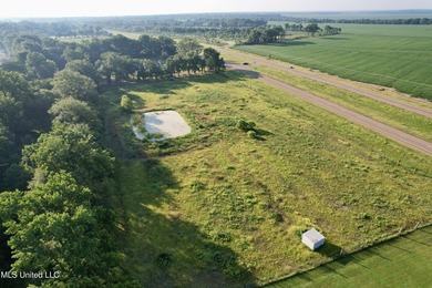 Welcome to your dream property at 197 Hwy 8, Cleveland, MS! This - photo 5