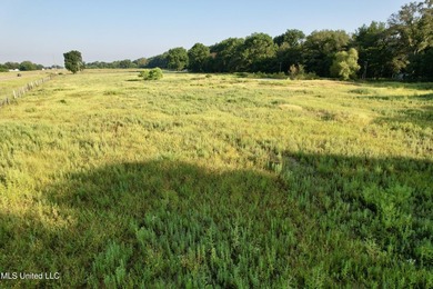Welcome to your dream property at 197 Hwy 8, Cleveland, MS! This - photo 10