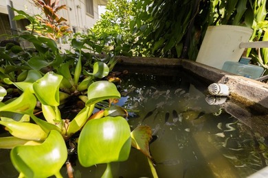 Welcome to this hale in Hilo, where island living meets everyday - photo 15