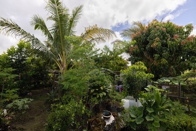 Welcome to this hale in Hilo, where island living meets everyday - photo 17