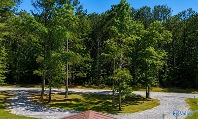 Your lake oasis awaits! No lot rent! No HOA fees! This 0.41 acre - photo 9