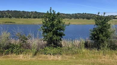 Build your dream home on the water in the gated community of - photo 20