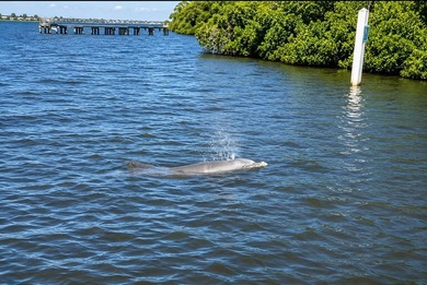 Located in South-West Section Colony Cove, ELLENTON FL; a 55+ - photo 31