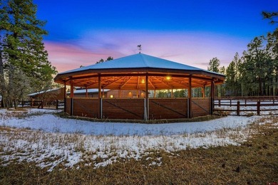 A Truly Irreplaceable Legacy Offering in Pagosa Springs -- this - photo 32
