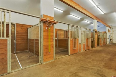 A Truly Irreplaceable Legacy Offering in Pagosa Springs -- this - photo 33