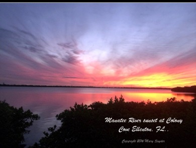 Located in South-West Section Colony Cove, ELLENTON FL; a 55+ - photo 36