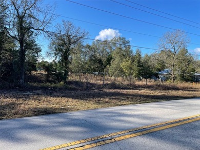 Bonable Lake Lot For Sale in Dunnellon Florida