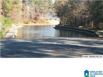 Logan Martin Lake Lot For Sale in Vincent Alabama