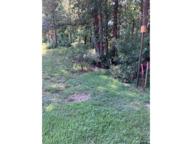 Lake Tyler East Lot For Sale in Tyler Texas