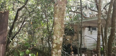 Lake Kerr Home For Sale in Salt Springs Florida