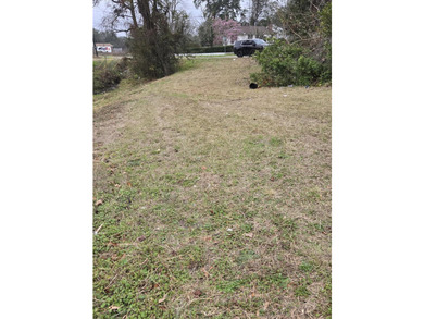 Vacant corner lot in the non-HOA community of Dorchester Terrace - photo 2