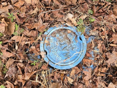 Vacant corner lot in the non-HOA community of Dorchester Terrace - photo 4