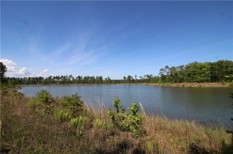 (private lake) Lot For Sale in Brunswick Georgia