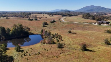 Lake Acreage For Sale in Mill Spring, North Carolina