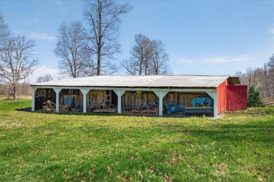 This expansive 210 acre farm features approximately 60 acres of - photo 7