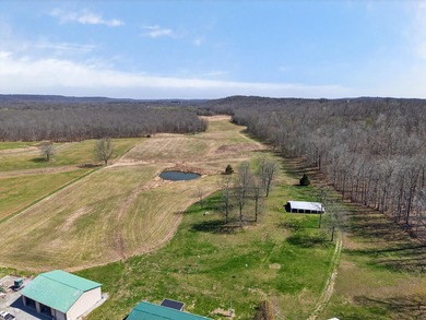 This expansive 210 acre farm features approximately 60 acres of - photo 10