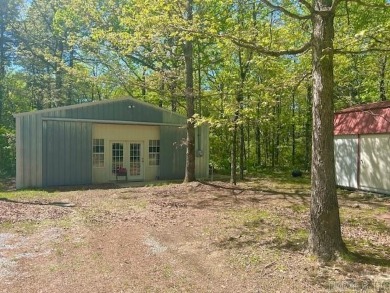 Lake Home For Sale in Mountain View, Arkansas