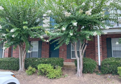 Lake Condo For Sale in Chattanooga, Tennessee