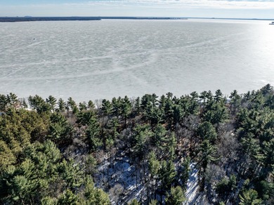 Petenwell Lake  Acreage For Sale in Necedah Wisconsin