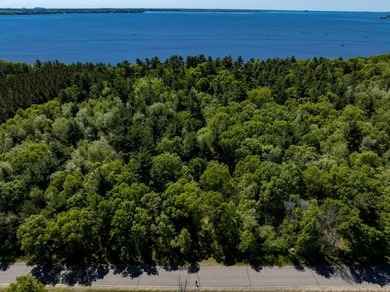 MOTIVATED SELLER! This is your chance to own a lot on Lake - photo 2
