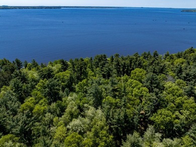 MOTIVATED SELLER! This is your chance to own a lot on Lake - photo 3