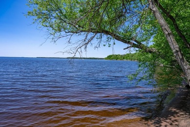 MOTIVATED SELLER! This is your chance to own a lot on Lake - photo 6