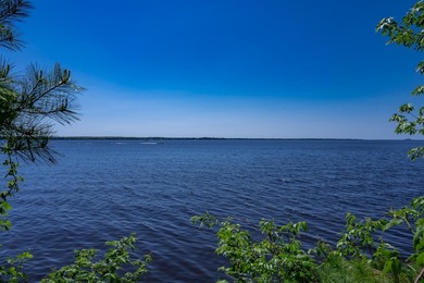 MOTIVATED SELLER! This is your chance to own a lot on Lake - photo 8
