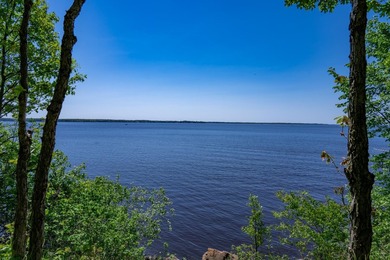 MOTIVATED SELLER! This is your chance to own a lot on Lake - photo 9
