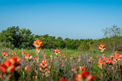 Don't miss this rare opportunity to own over 6 acres of - photo 4
