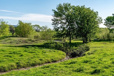 Don't miss this rare opportunity to own over 6 acres of - photo 5
