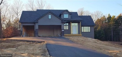 Lake Home For Sale in Isanti, Minnesota